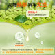 American Green Coffee Bean 800mg ສານສະກັດຈາກກົດ Chlorogenic