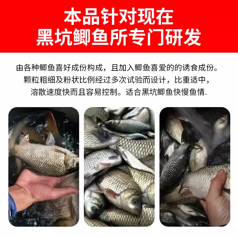 曾大盆快意江湖鲫窝黑坑专用鱼饵料专攻鲫鱼散炮打窝料旗舰店-图2