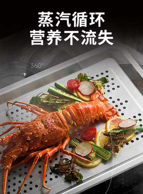 德国乐信莱欣诺触摸屏万能蒸烤箱