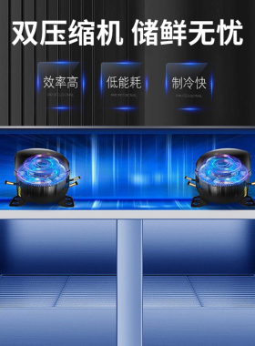 星崎艾世铭商用冰柜保鲜冷藏柜