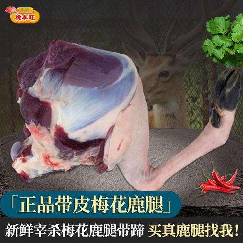 梅花鹿肉 新鲜现杀鹿肉 鹿腱子鹿腿肉商用带皮整只 鹿腿新鲜肉 - 图1