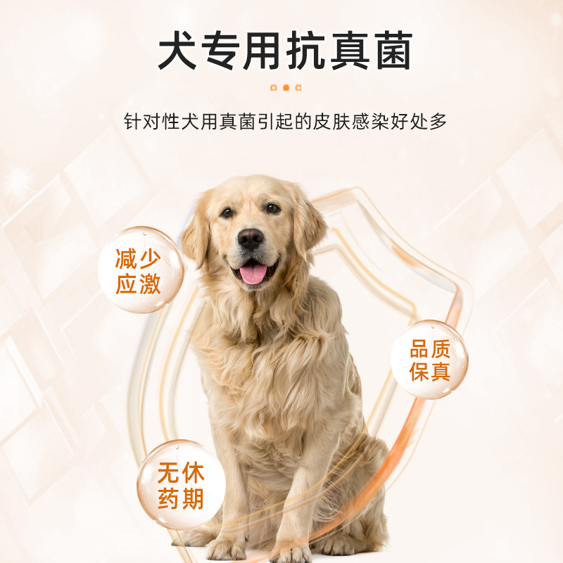 狗癣专用药狗狗真菌皮肤病外用药治疗宠物成犬幼犬皮炎掉毛喷雾剂-图2