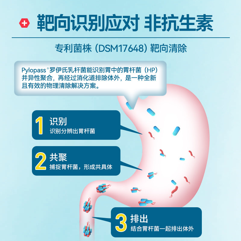 【抢特价】proven养胃粉罗伊氏乳杆菌 PROVEN海外益生菌