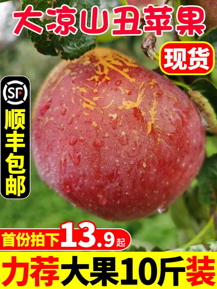 盐源冰糖心丑苹果10斤新鲜水果当季整箱昭通大凉山野生红富士苹果