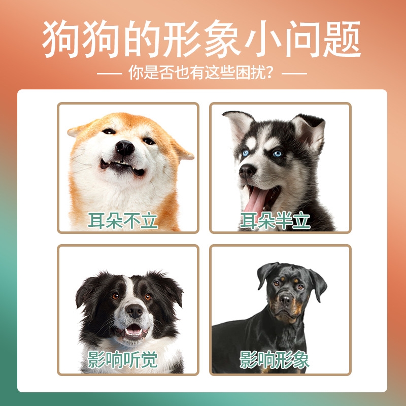 狗狗立耳神器卡斯罗柯基杜宾柴犬法斗德牧立耳贴辅助器雪纳瑞边牧 - 图2