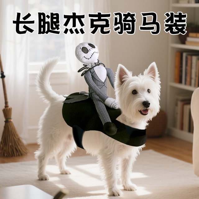 Dog Riding Outfit Funny Rider Dog Clothes