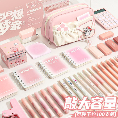 春日樱花~笔袋高颜值ins风文具盒女孩款2026年超火儿童铅笔盒2025小学生初中生高中大容量简约透明小众不撞款 - 图3