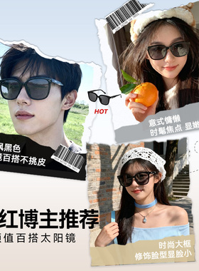 ZIPPO偏光墨镜2026新款高清防眩光时尚经典潮流太阳镜显脸小79193