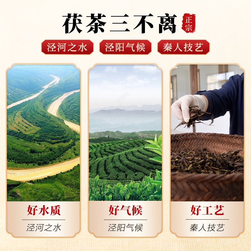 【两味】泾阳茯茶 手筑茯砖茶散茶 金花茯茶 免撬便携 散茯茶 - 图2