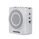 Tak Sheng E180M Little Bee Amplifier