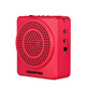 Tak Sheng E180M Little Bee Amplifier