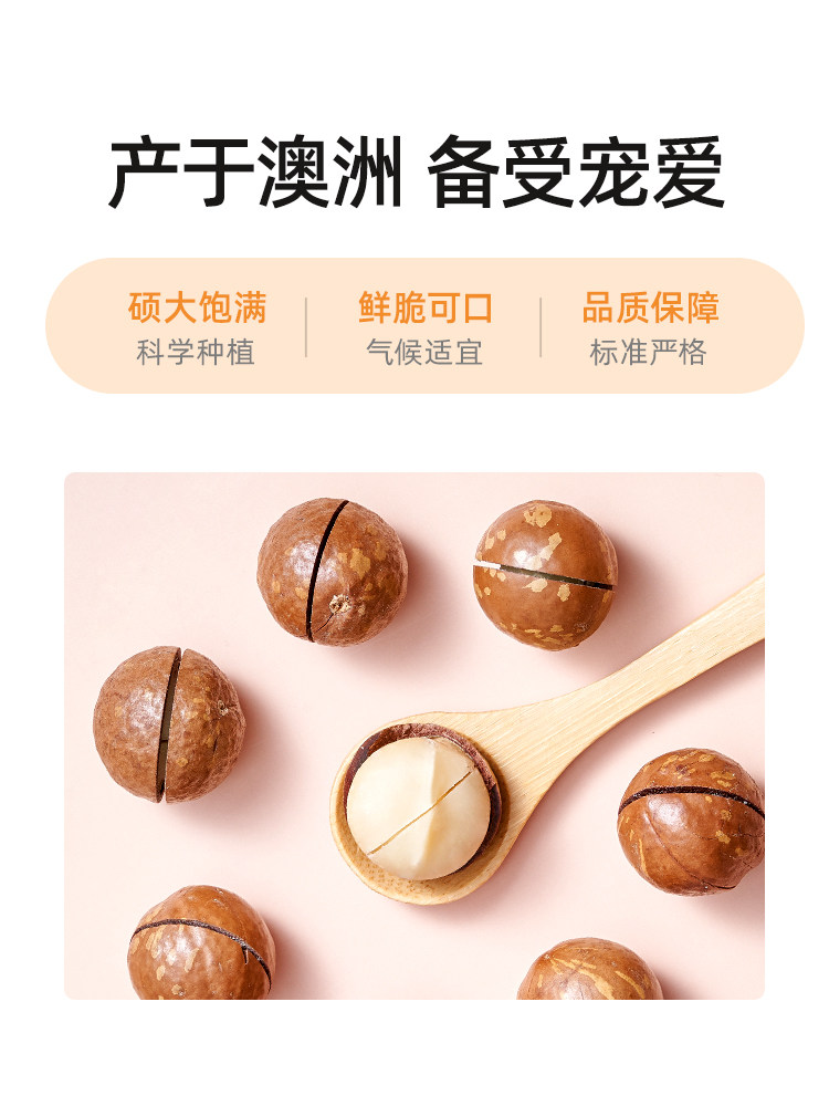 年货整箱5斤散装批发夏果夏威夷果 山味情夏威夷果