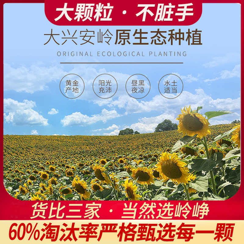 岭峥原味五香味大颗粒袋装干炒瓜子 岭峥瓜子