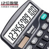 Morning Light 12-bit calculator with voice