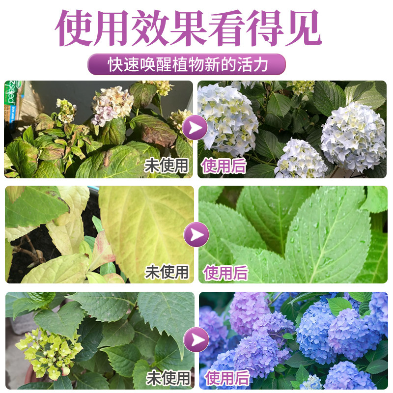 绣球花营养液免稀释喷施绣球花专用肥料施肥酸性植物盆栽促开花肥,淘宝优惠券,粉丝福利购,淘宝优惠卷