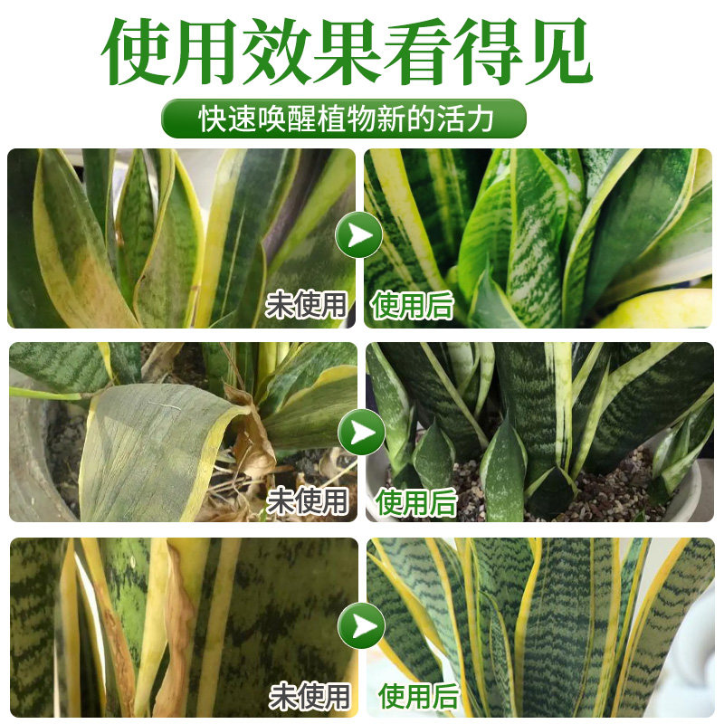虎皮兰营养液免稀释花肥虎皮兰专用肥料盆栽金边绿植水溶肥,淘宝优惠券,粉丝福利购,淘宝优惠卷