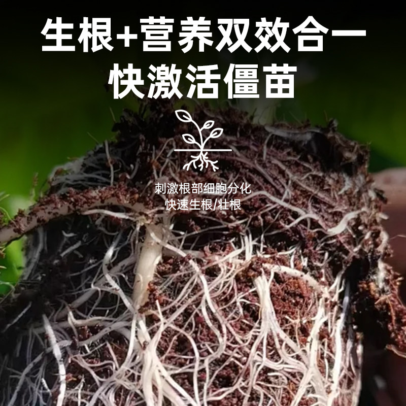 快速生根粉植物通用果树专用移栽扦插生根壮苗剂生根液树桩水溶肥,淘宝优惠券,粉丝福利购,淘宝优惠卷