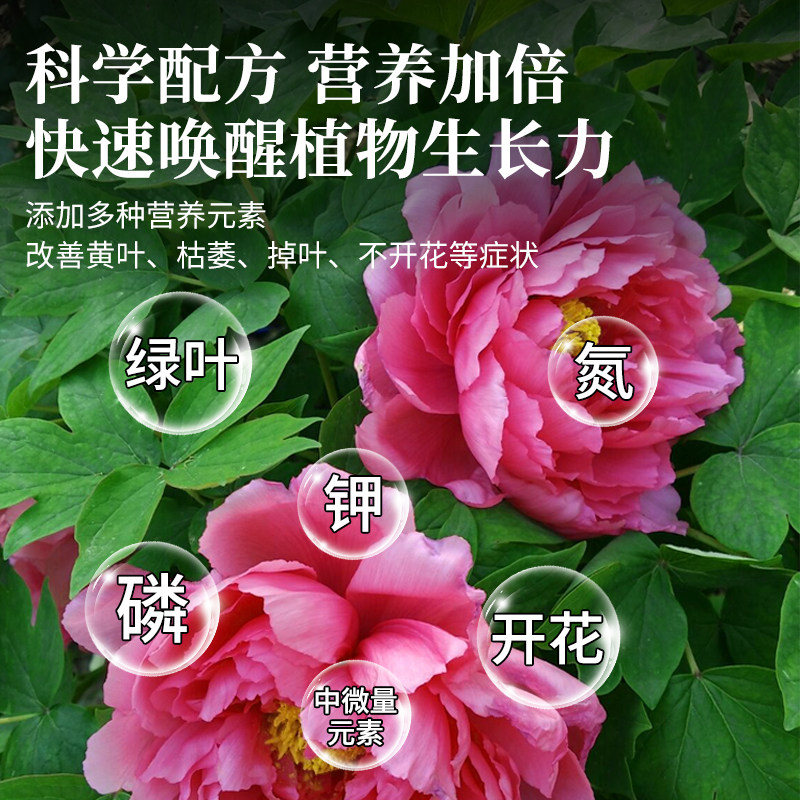 室内盆栽植物营养液免稀释通用型叶面肥喷施花卉绿植花草养花肥,淘宝优惠券,粉丝福利购,淘宝优惠卷