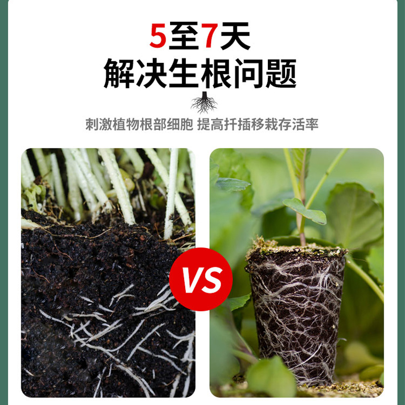 快速强力生根粉植物通用果树专用移栽扦插生根剂壮苗剂生根液树桩