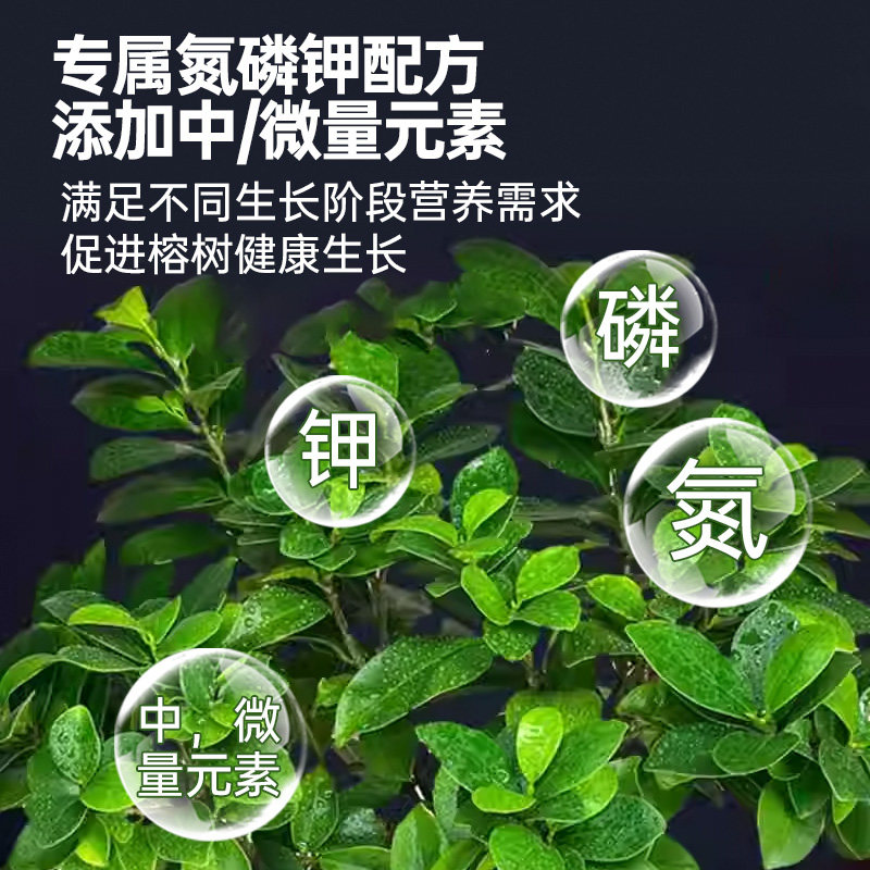 榕树营养液黄叶掉叶不长叶黄金榕人参榕小叶榕树盆景专用肥料,淘宝优惠券,粉丝福利购,淘宝优惠卷