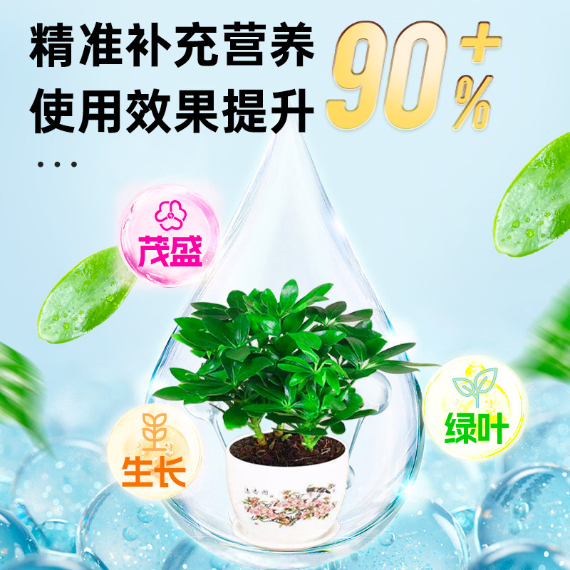 鸭脚木营养液花肥鸭掌木专用肥绿叶盆栽鹅掌木鸭脚木肥料液体肥,淘宝优惠券,粉丝福利购,淘宝优惠卷