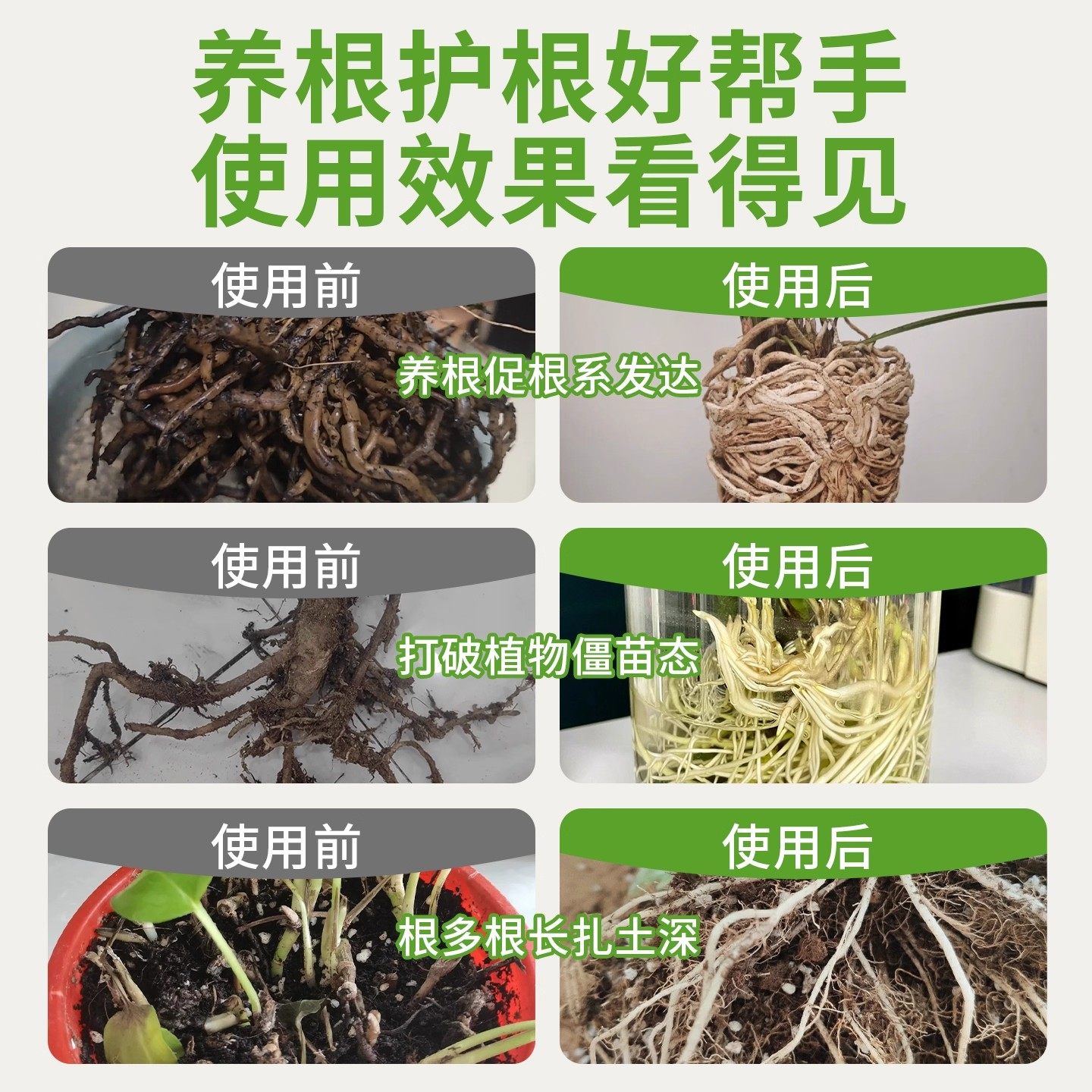 快速生根粉植物通用果树专用移栽扦插生根壮苗剂生根液树桩水溶肥,淘宝优惠券,粉丝福利购,淘宝优惠卷