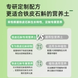 Дендробий специальные почвенные питательные вещества и цветочные цветы