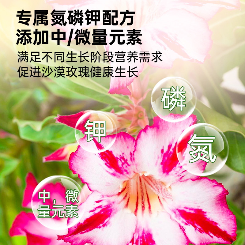 沙漠玫瑰营养液花肥黄叶沙漠玫瑰专用肥盆栽促开花肥料专用土,淘宝优惠券,粉丝福利购,淘宝优惠卷