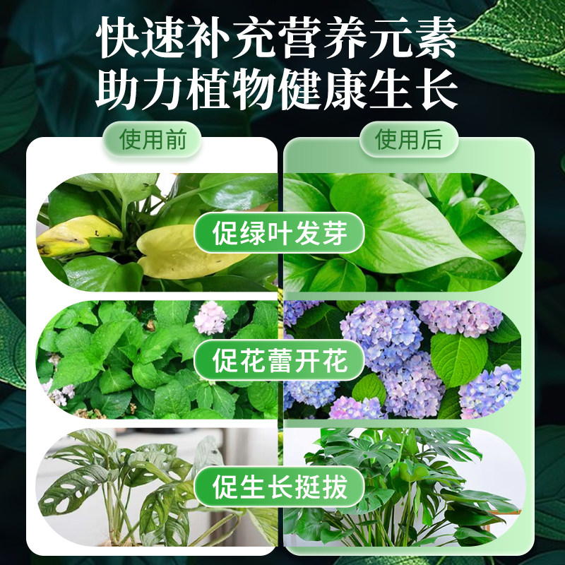 室内盆栽植物营养液免稀释通用型叶面肥喷施花卉绿植花草养花肥,淘宝优惠券,粉丝福利购,淘宝优惠卷