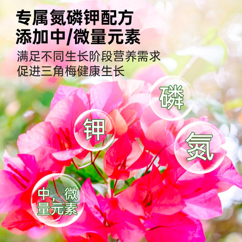 三角梅专用营养液开花专用肥促花爆花肥催化剂骨粉花肥料营养肥 - 图1