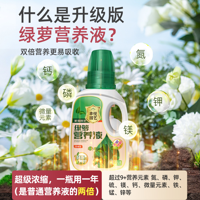 绿萝营养液通用型水养花植物水培绿萝营业液专用花肥料家用营养剂-图1