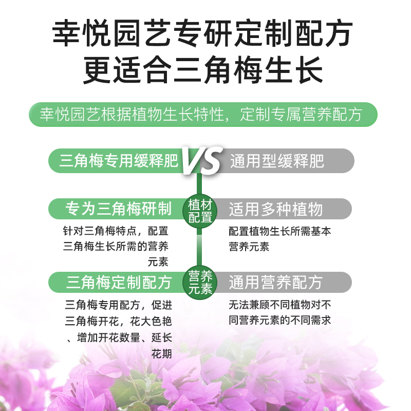 三角梅开花专用肥促开花爆花肥家用养花复合肥长效肥颗粒缓释肥料-图1