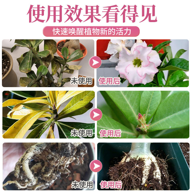 沙漠玫瑰营养液花肥沙漠玫瑰专用肥盆栽促开花肥料液体肥,淘宝优惠券,粉丝福利购,淘宝优惠卷
