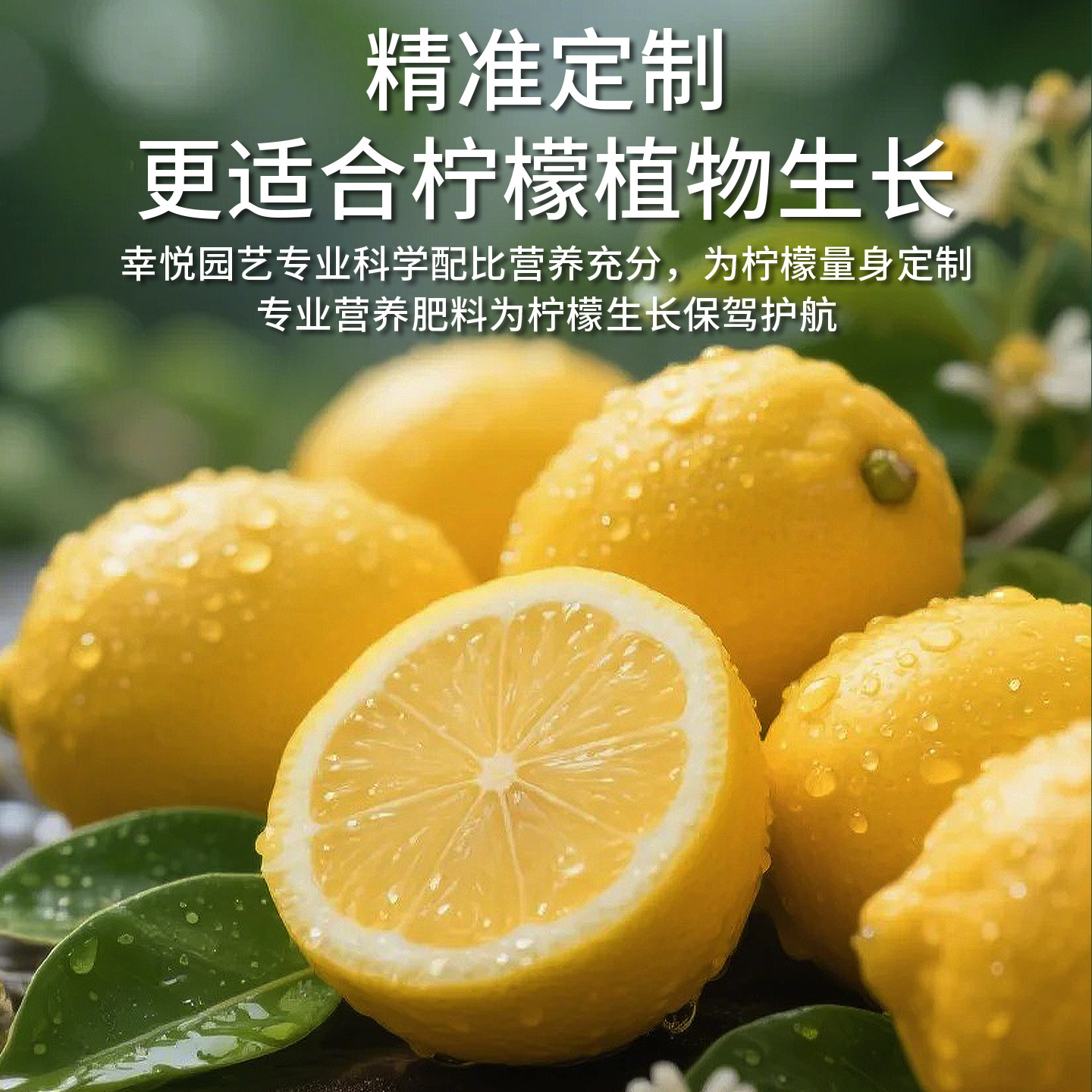 香水柠檬树肥料专用肥营养液缓释肥复合肥盆栽挂果结果保果有机肥,淘宝优惠券,粉丝福利购,淘宝优惠卷
