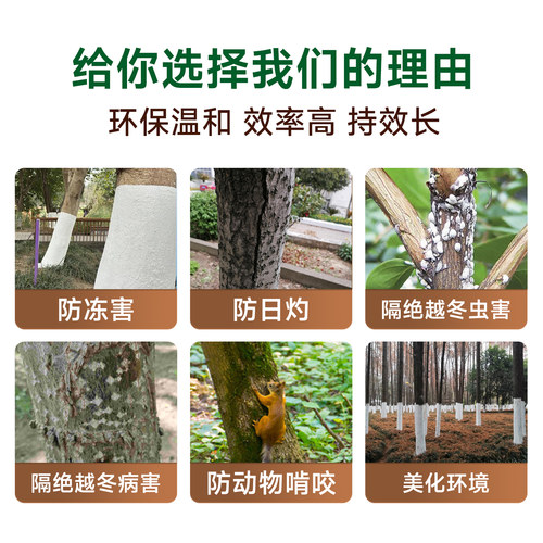 树木树干涂白剂大树刷白园林盆景树杆果树防虫防冻防寒杀菌石灰粉 - 图1