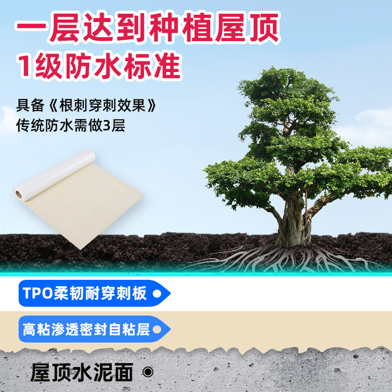 种植屋面热塑性聚烯烃TPO自粘彩钢瓦外露增强国标高分子防水卷材 - 图3