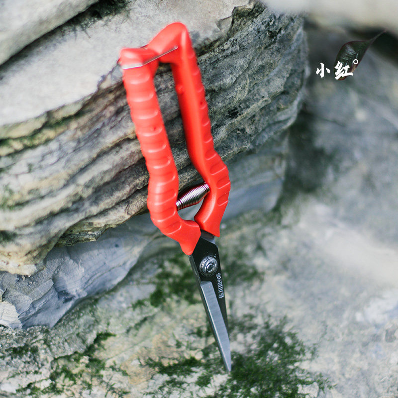 种花王大爷 不锈钢园林 剪刀剪果树剪树枝 修枝 小红多功能省力,淘宝优惠券,粉丝福利购,淘宝优惠卷