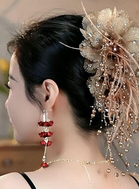 发夹女网红时尚百搭盘发鲨夹美拉德抓夹韩式港风复古花朵羽毛头饰