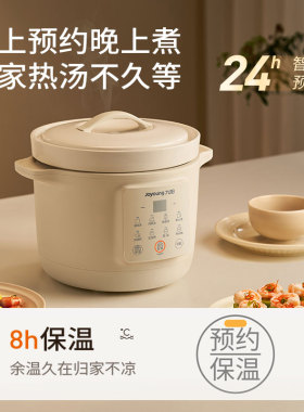九阳电炖锅煲汤炖汤锅煮粥锅电砂锅多功能家用燕窝电炖盅烹饪机