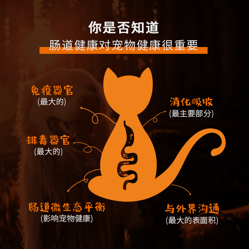 宠仔宝贝天然猫粮英短幼猫成年猫增肥发腮怀孕猫咪主粮通用型2kg优惠券