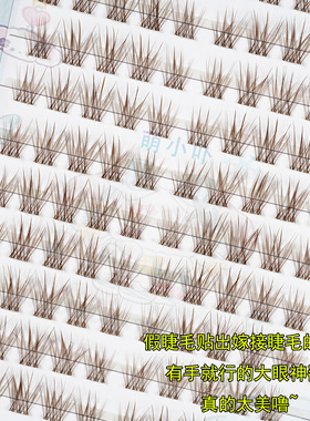 里斯本假睫毛自然仿真毛流妈生