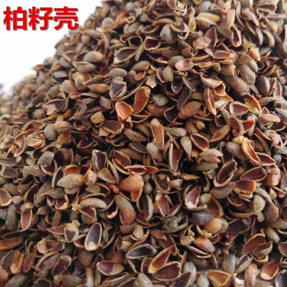 干净的柏壳子伯壳子柏壳衣柏壳子枕头柏籽壳枕头侧柏籽壳枕芯填充