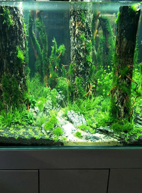 鱼缸仿真树干直条沉木水草树根雨林造景树皮杜鹃根香槟树桩森林景