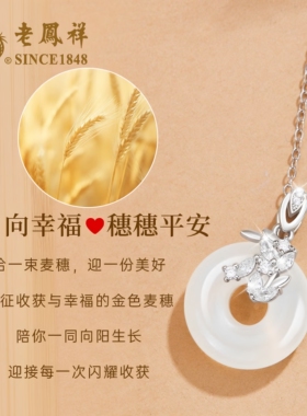 老凤祥岁岁平安扣项链送女友