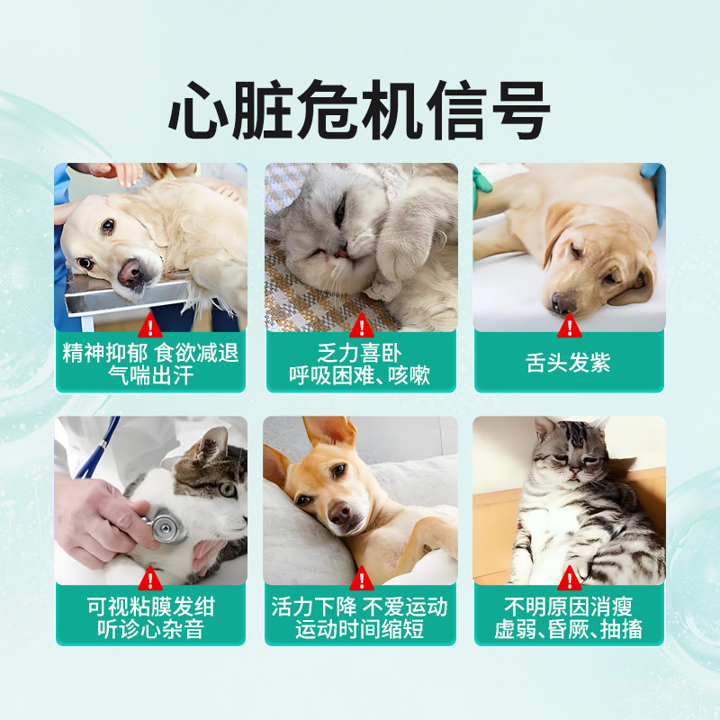 宠物辅酶Q10狗猫保护心脏肥厚病老年犬心衰心肌养护强健营养保健,淘宝优惠券,粉丝福利购,淘宝优惠卷