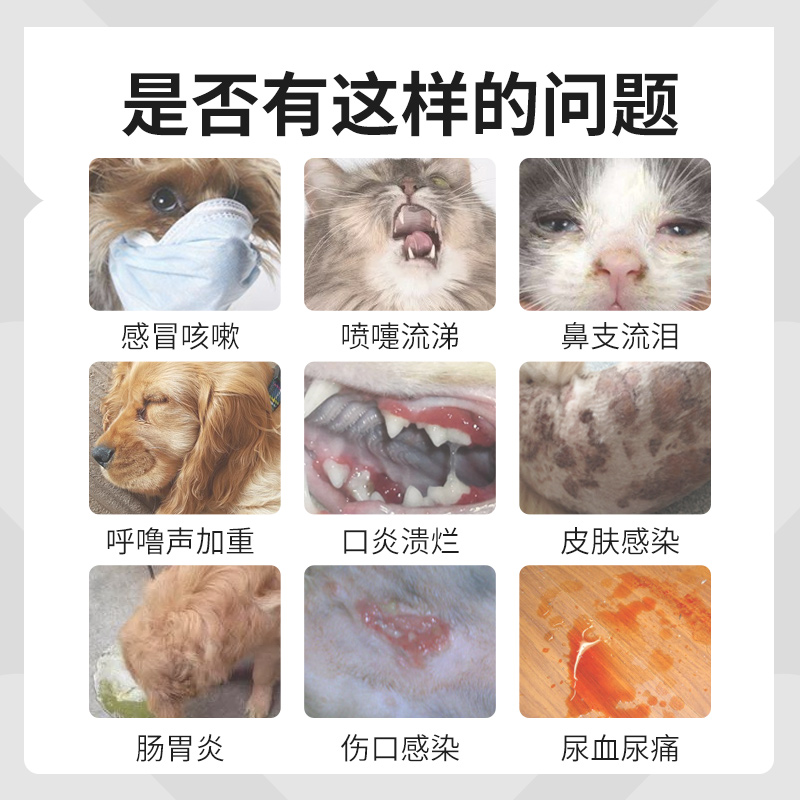  八牧猫呼吸道疾病药品