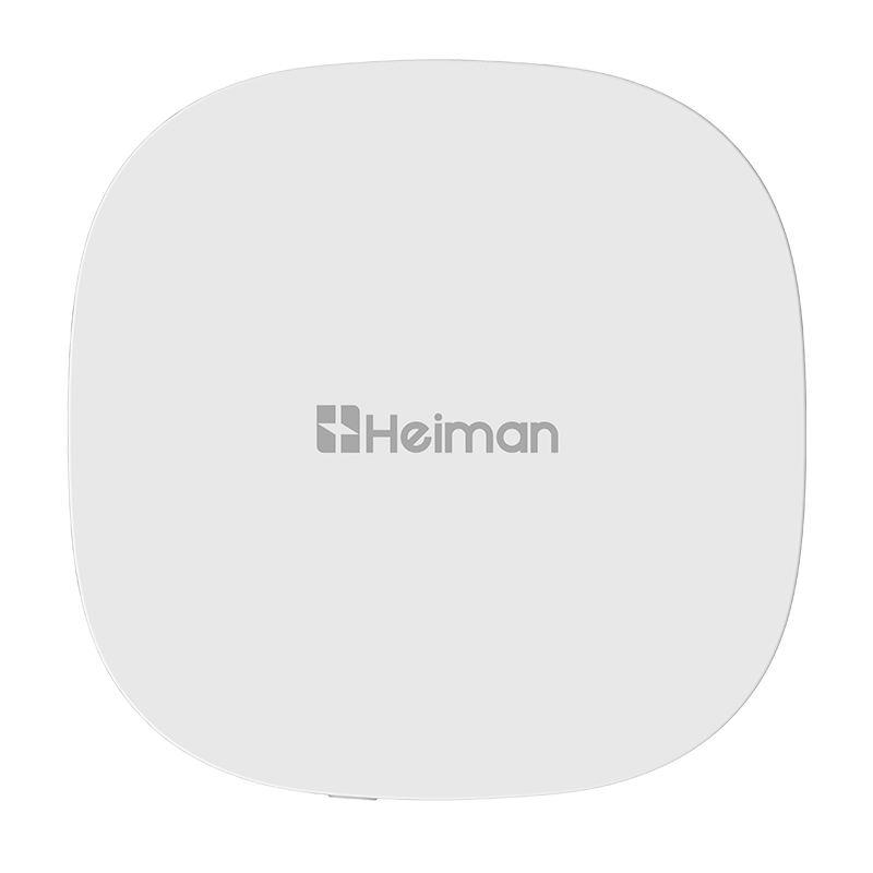 海曼HS2FD跌倒检测仪4G智能 - 图0