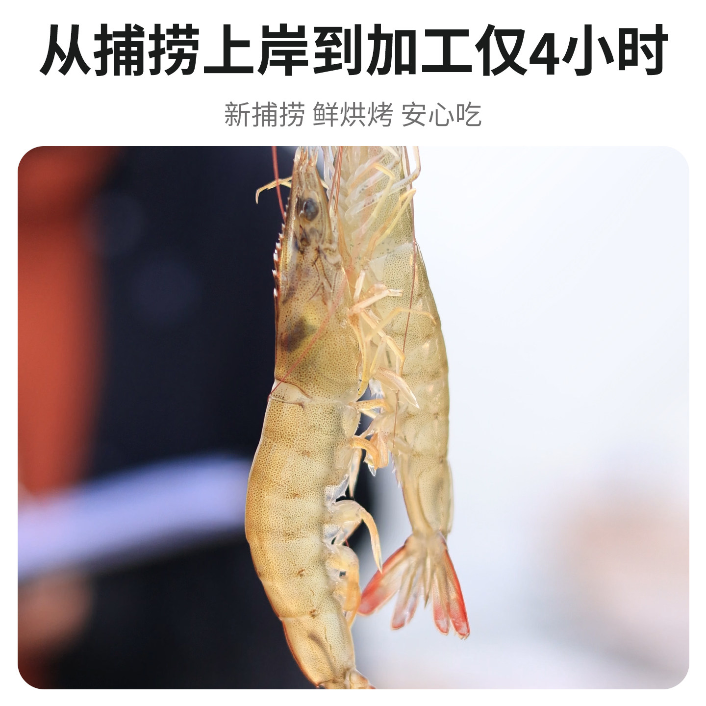 水一方手扒烤虾仁即食0糖烤虾干大连特产低脂海味小吃干货钙零食