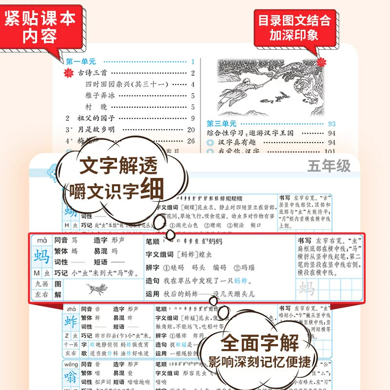 2026秋小学教材全解五年级上册语文数学苏教北师英语阅读全解同步作文薛金星5年级上课本同步讲解读五上工具书辅导训练资