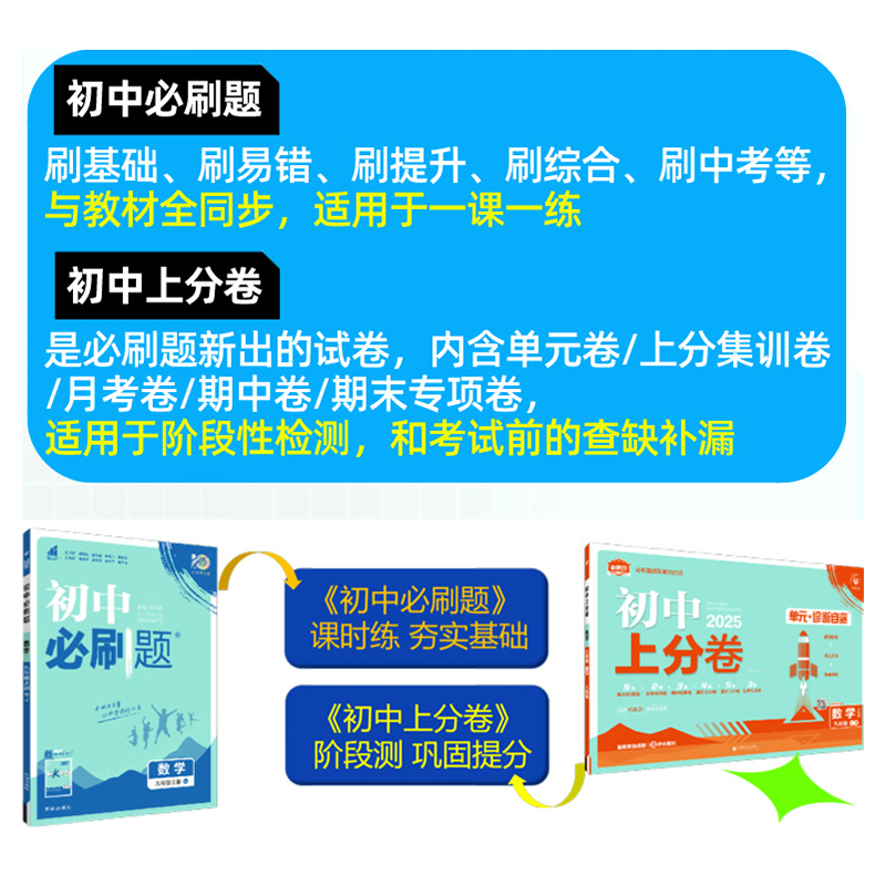 2025适用初中上分卷单元诊断自查九年级下册道德与法治人教版9年级下月考期中期末集训期末专项九下中考必刷卷训练初中必刷题团队